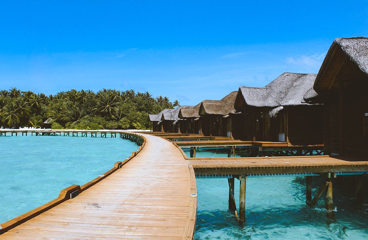 ButDansLaVie's tweet photo. Partir aux Maldives 🌴🌊☀️😍 https://t.co/RSdZiQrDRB
