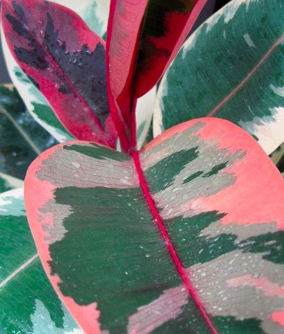 Summer colors. 😊