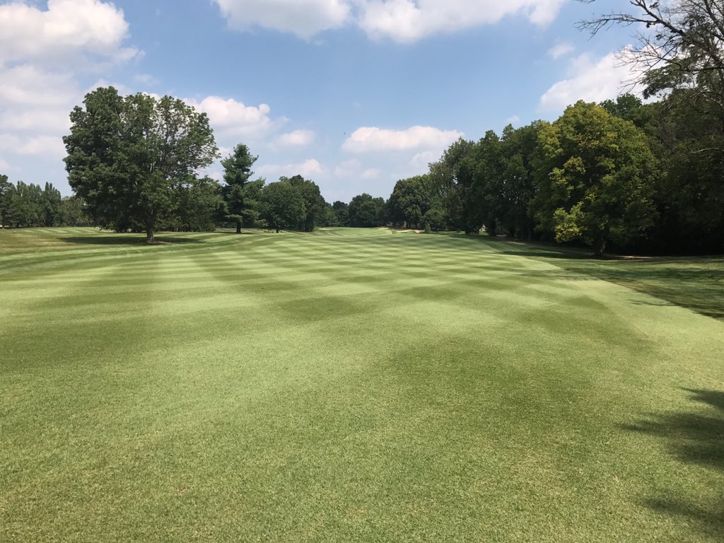 GreenbrierGCC's tweet photo. Ready for the member-guest this week! There's no doubt our zoysia fairways love the heat. ⛳️ https://t.co/02zv1x44op