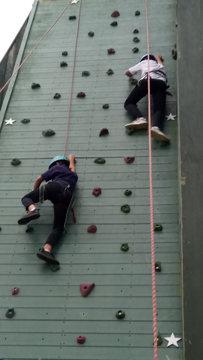 Yr7 Ricky Adventure tweet media