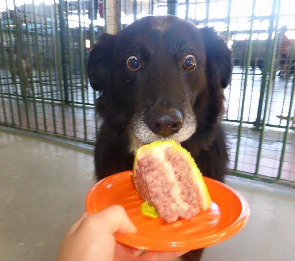 theCHIVE's tweet photo. Caption this https://t.co/Tbw02npQlY