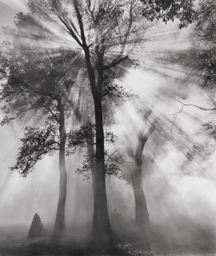 stjohnsphoto on Twitter: