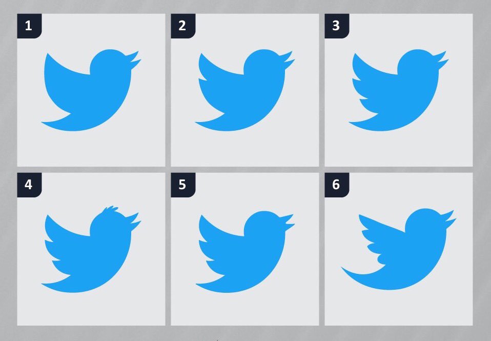 Got what it takes for our #WednesdayTrivia? RT which one of these birds is Twitter's logo for a chance to WIN one of 3 surprise giveaways!