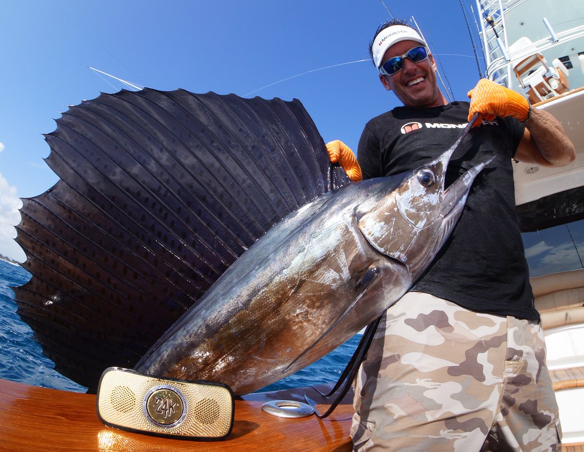 MonsterProducts's tweet photo. If all the world's an ocean, you could have big fish & big #MonsterSound with #MonsterBackfloat. https://t.co/oPgi7BCvOp https://t.co/RQRUwbBoE4