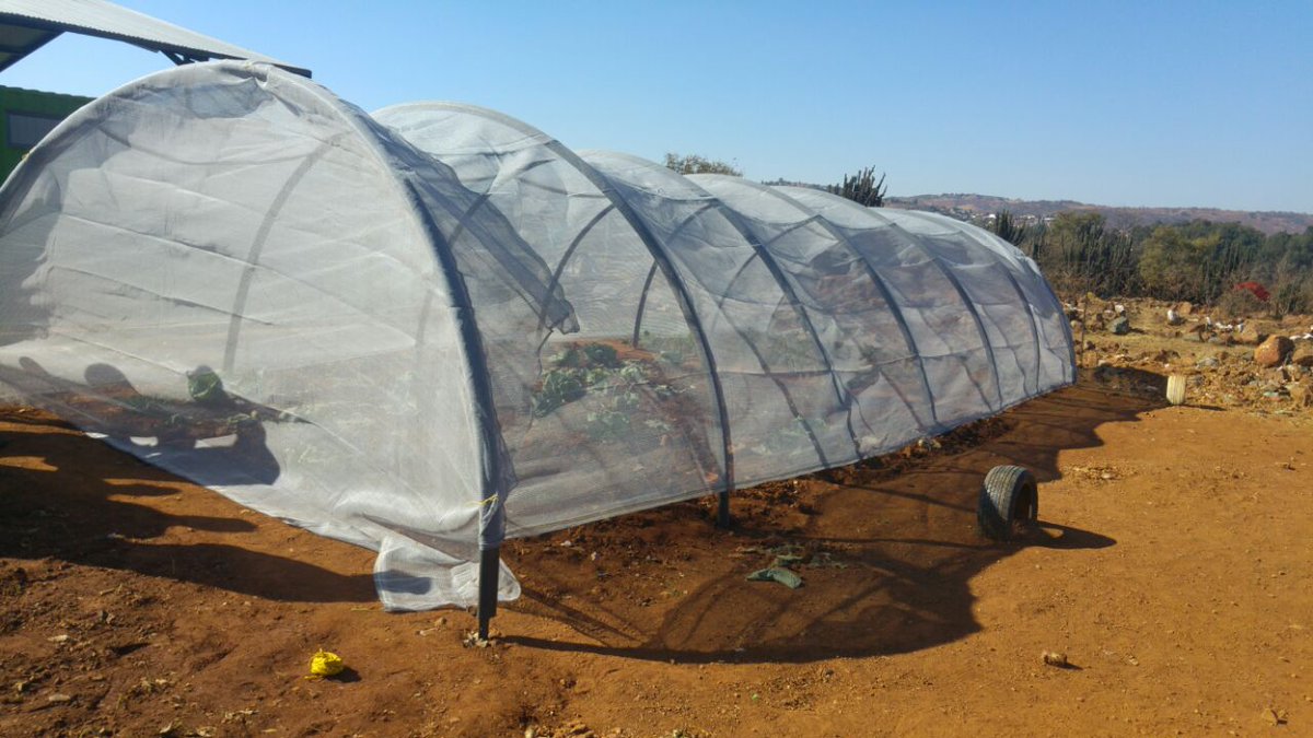 Mission_MercySA's tweet photo. #MandelaDay2017 Green house tunnels built for the residents of Eufees Oord Old Age Home, Westdene &amp; Sincedeni Elderly Centre, Freedom Park https://t.co/wflV3u7qgi