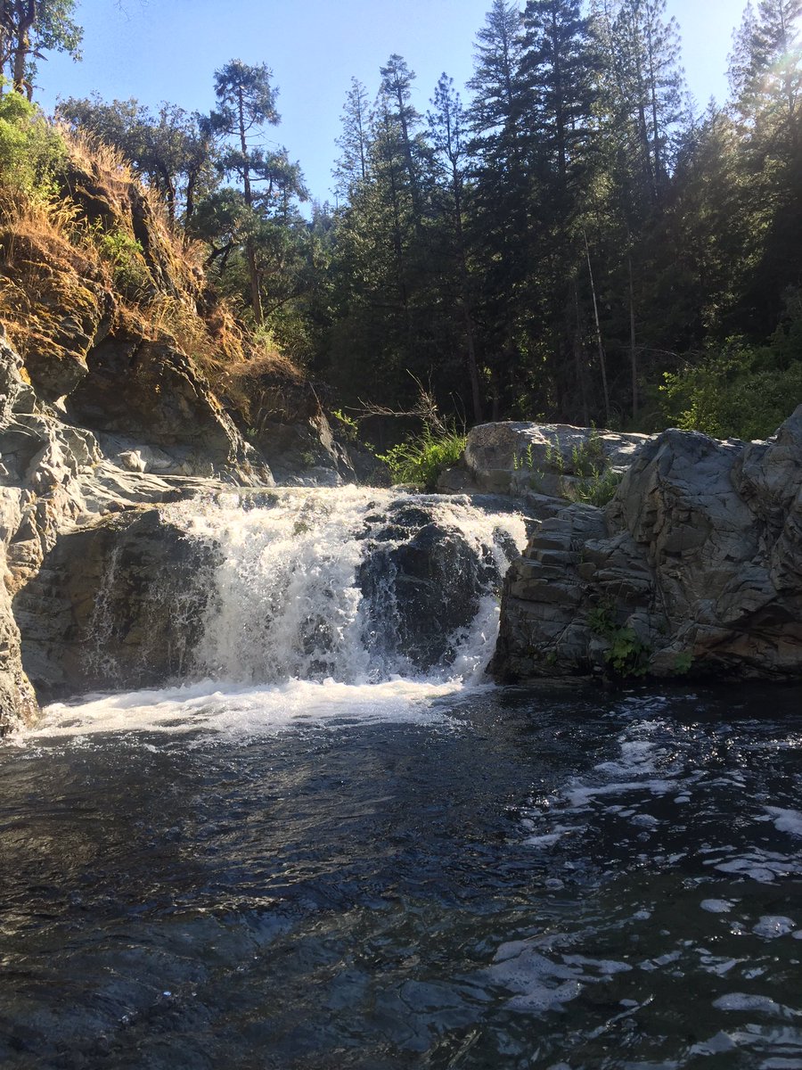 LilyFielding3's tweet photo. We live in a beautiful place. #trinitycountyCA https://t.co/0dme1Am3D4
