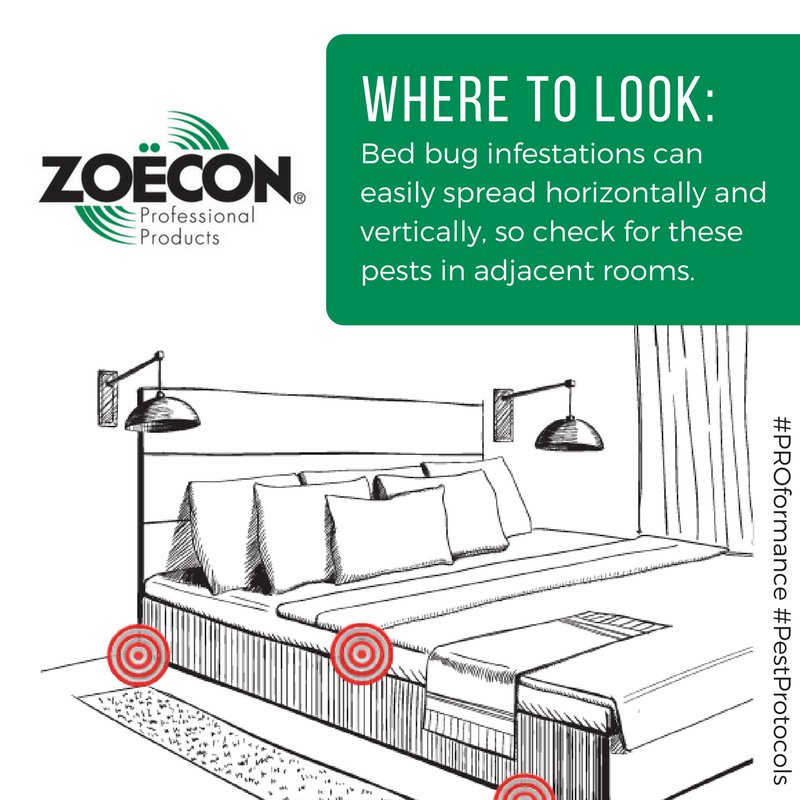 ZoeconCentralLS's tweet photo. #PestControl Tip: Examine the narrow elements of headboards, mattresses, bed frames and nightstands for #bedbugs. #PestProtocol #PROformance https://t.co/qPU8mkQ22v