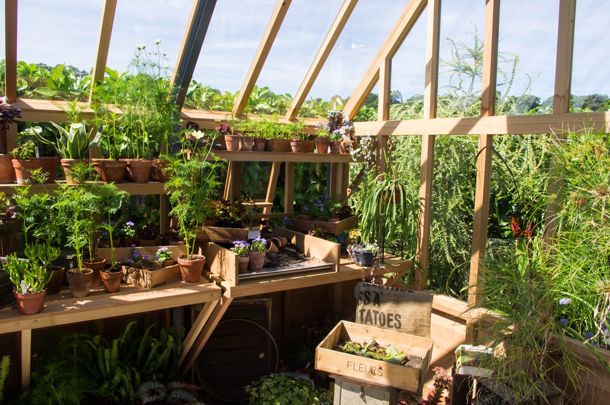 TimHowellX's tweet photo. Wonderful #RHSTatton garden by @LillyGomm of @PittsandLilly with fantastic @GabrielAsh11 greenhouse as the focal point. Beautiful planting. https://t.co/lgz56me4Fj