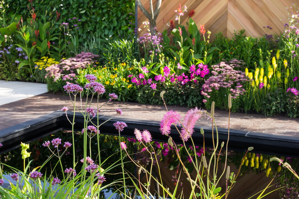 TimHowellX's tweet photo. Wonderful #RHSTatton garden by @LillyGomm of @PittsandLilly with fantastic @GabrielAsh11 greenhouse as the focal point. Beautiful planting. https://t.co/lgz56me4Fj