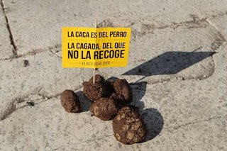 Si te encuentras esto 'olvidado' en la calle ¿a quién echas la culpa? A)A un 🐶 B)A un 🐷 de 4 patas (que es un bicho muy limpio) C)A un 🐖 de 2 patas 😷 que tiene un 🐕