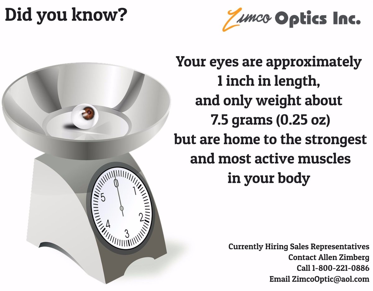 ZimcoOptics's tweet photo. #whoknew #Didyouknow #WednesdayWisdom @bardoptical @OptometryWeb @optMagazine @opticalindustry @VisionExpo https://t.co/er6OsZiSjM