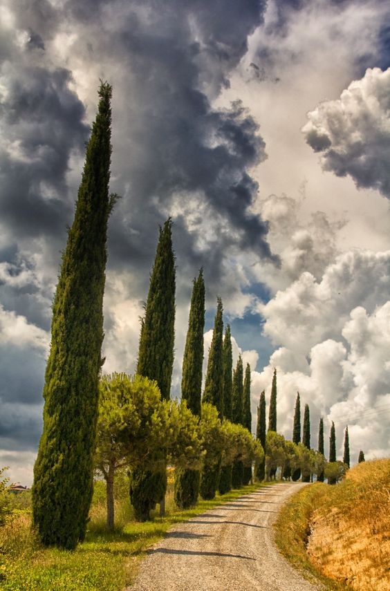 LaviniaDoria's tweet image. #Tuscany