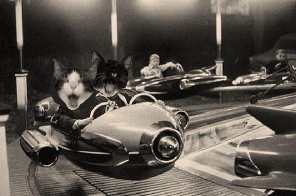 SocietyBasement's tweet photo. Thinking about fun times with the #ArtCats, Morbo and Kif! @morbokif
(Ignore the Old timeslot, the #FUNKTRUNK is firmly on SUNDAY now!) ;) https://t.co/ydhQkNy4vu