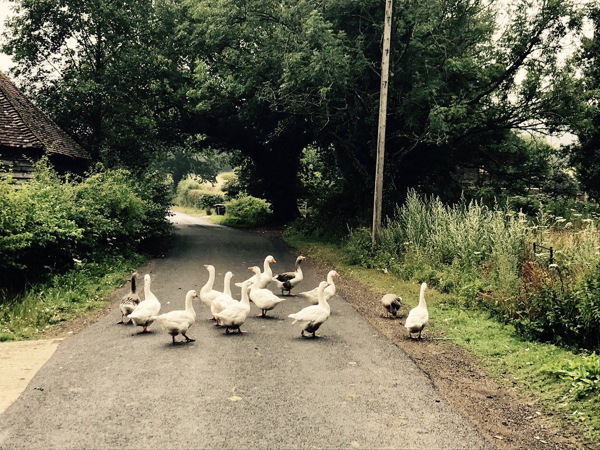 Rhian Fletcher tweet media