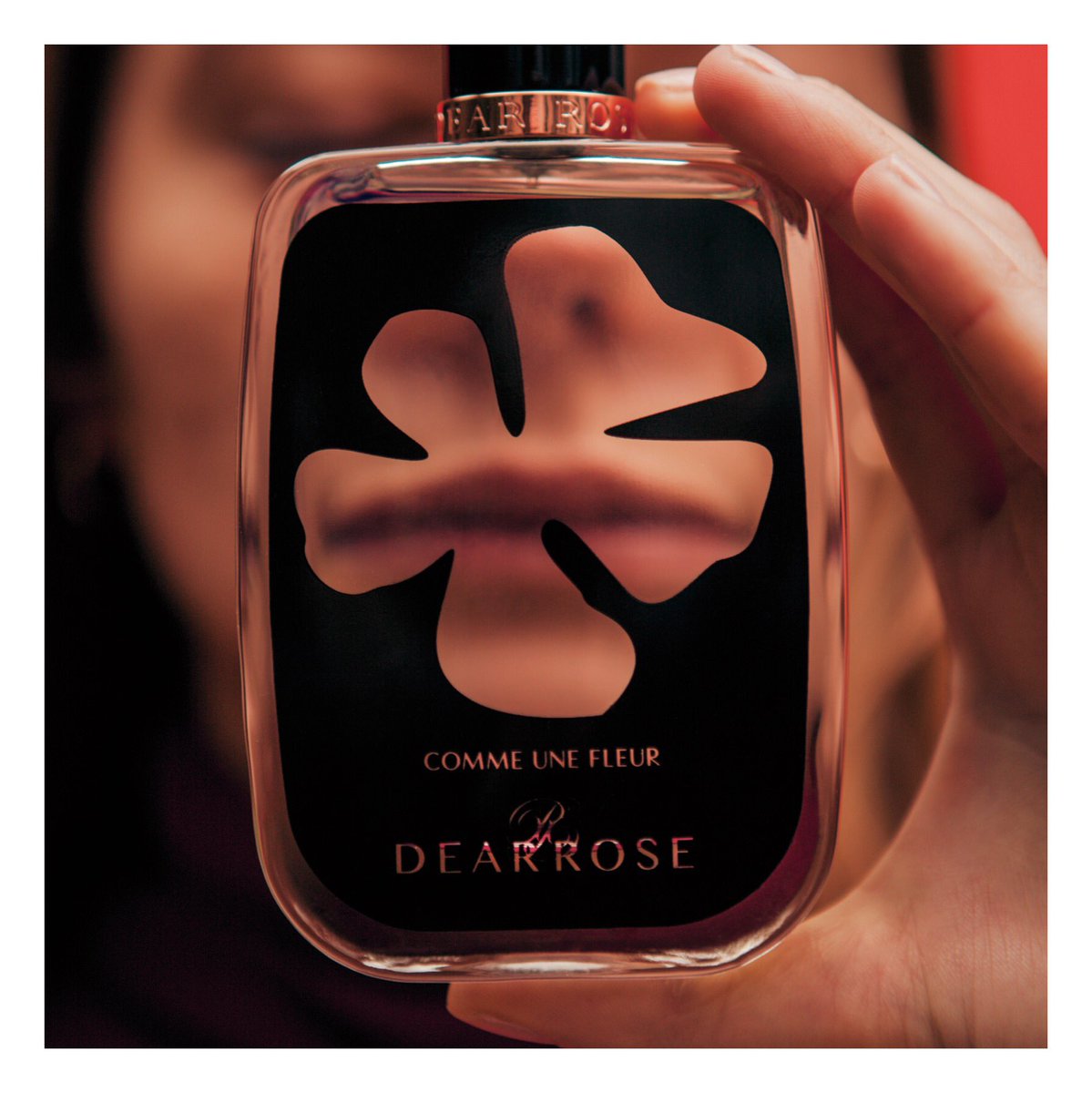 PierreLarose's tweet photo. extraits / campagne réseaux sociaux pour Dear Rose perfume https://t.co/fGkAoOA6r4