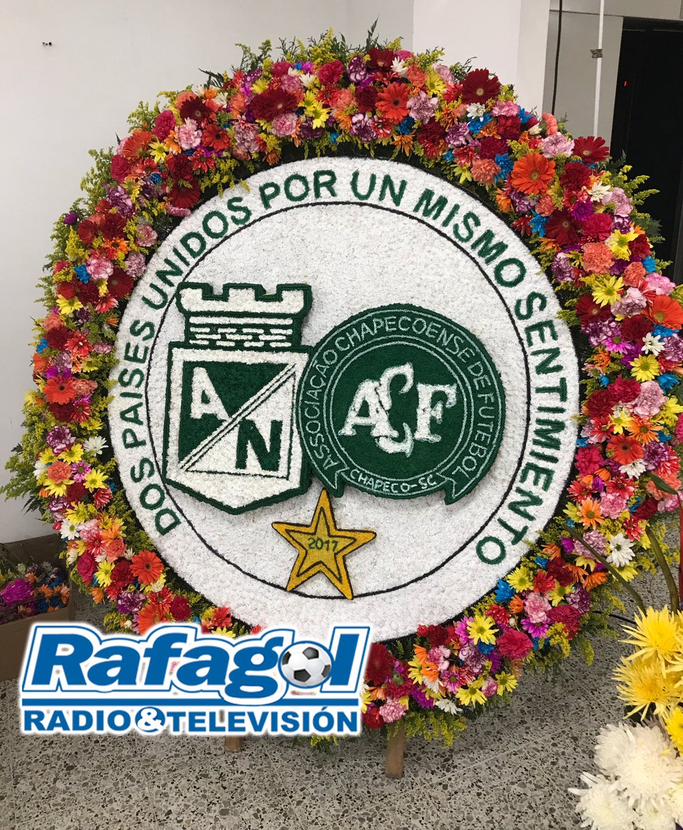 Rafagol_Linares's tweet photo. ¡ Ya huele a #FeriaDeLasFlores !

Silleteros recuerdan la hermandad que surgió entre @nacionaloficial y @ChapecoenseReal.

#ElSúperDebate https://t.co/RW5Ldrf6Ks
