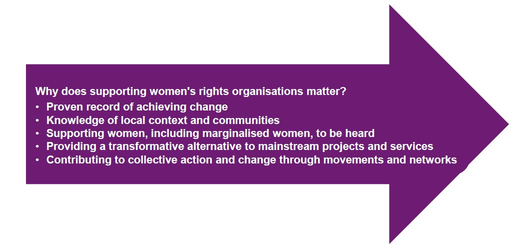 JoCrawford_Melb's tweet photo. Govts must develop mechanisms to ensure engagement of women-led orgs in localization &amp; monitoring of SDGs #HLPF2017 #feministvision @iwda https://t.co/ak57ELs8Wx