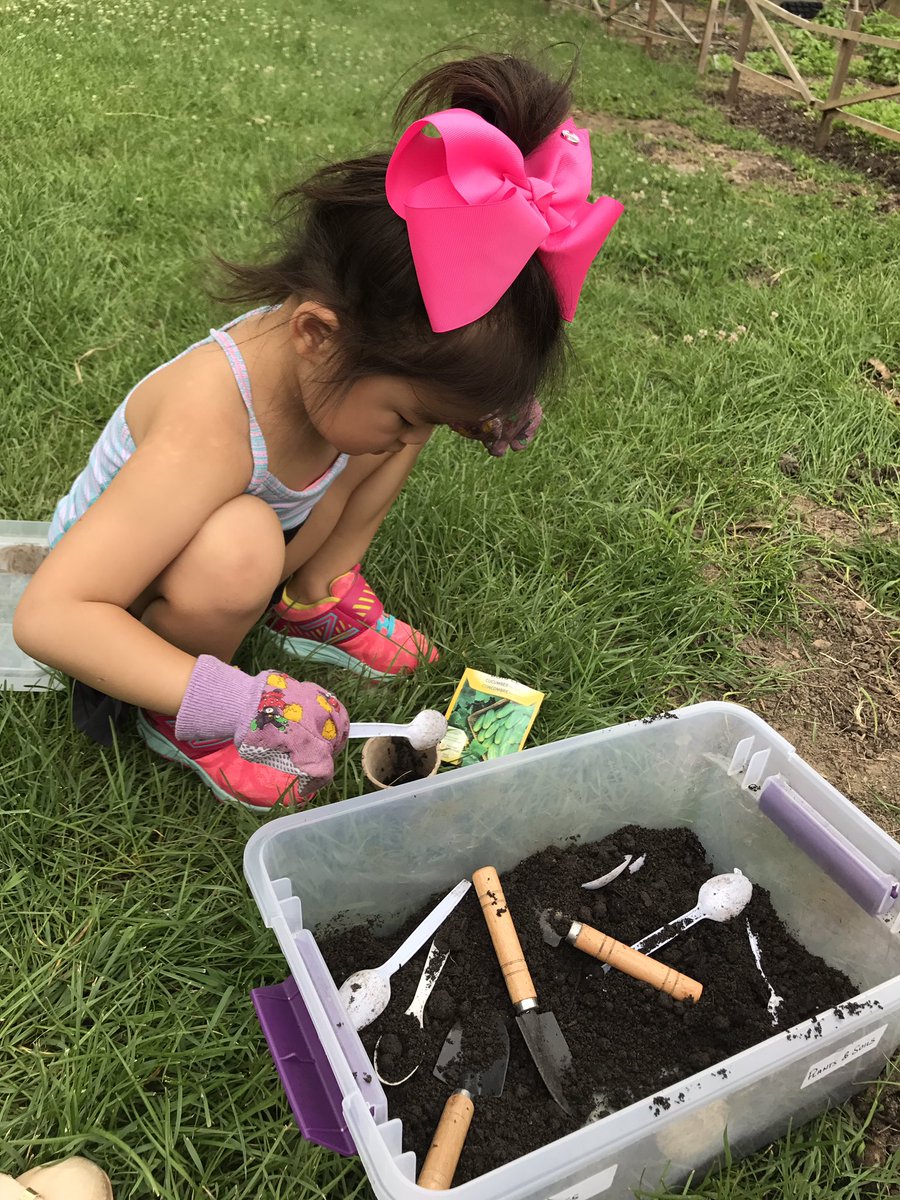 MrsSTsang's tweet photo. Planting seeds @EagleHeightsPS Family Garden Workshop @csulkowskitvdsb https://t.co/ZWOAOcRuQs