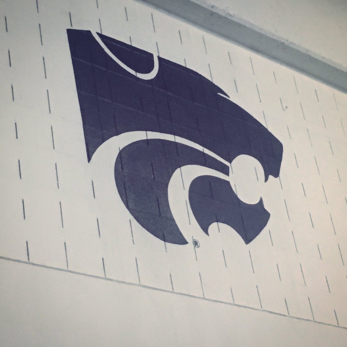 KStateSwimClub's tweet photo. Even though the K-state Natatorium is 42 years old, the Wildcat still stands strong! #ksuswimclub #joinus17 #wildcats #emaw https://t.co/uxOZ4WmSLq