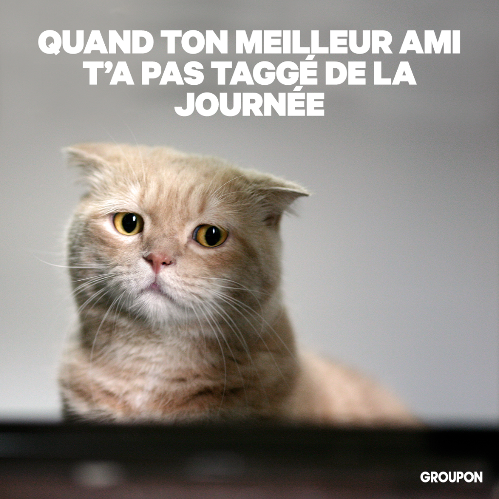 Identifie ci-dessous l’ami qui te taggue tout le temps 😾 gr.pn/2tB7Gf3