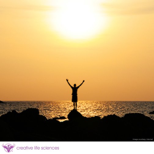 CreativeLifeSci's tweet photo. Our #TalkSessions help identify signs & signals that indicate to whether your #Life is moving in the right direction https://t.co/i9NW9nsOrn https://t.co/deYJF5jzB6