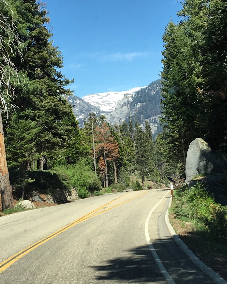 GalsWander's tweet image. (Z) the mountains are calling and the open road beckons.  Time to go. #mountainsarecalling #sequoia #sequoianationalpark #mountains