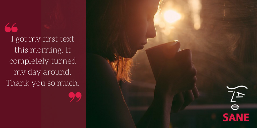 Black Dog Tribe tweet media