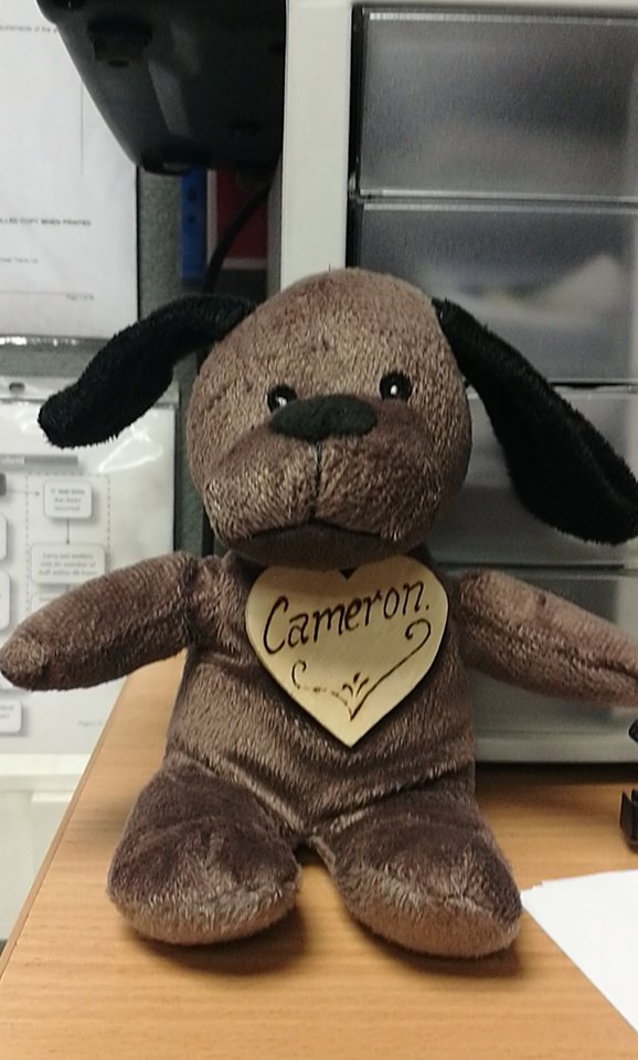 VirginTrainsTix's tweet photo. #VTLOST This little cutie has been found onboard and may be lost. Hopefully we can get him back to his owner! https://t.co/wrnt7o9dY8