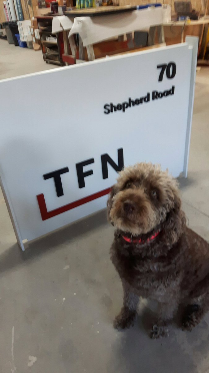 SenSigns's tweet photo. Our QC Sign Inspectator Nikki, passed the new TFN sign installing in Oakville today! #sensationalsigns #ownit #groundsign #idsign @tfnrealty https://t.co/Zhx3PDCY1L