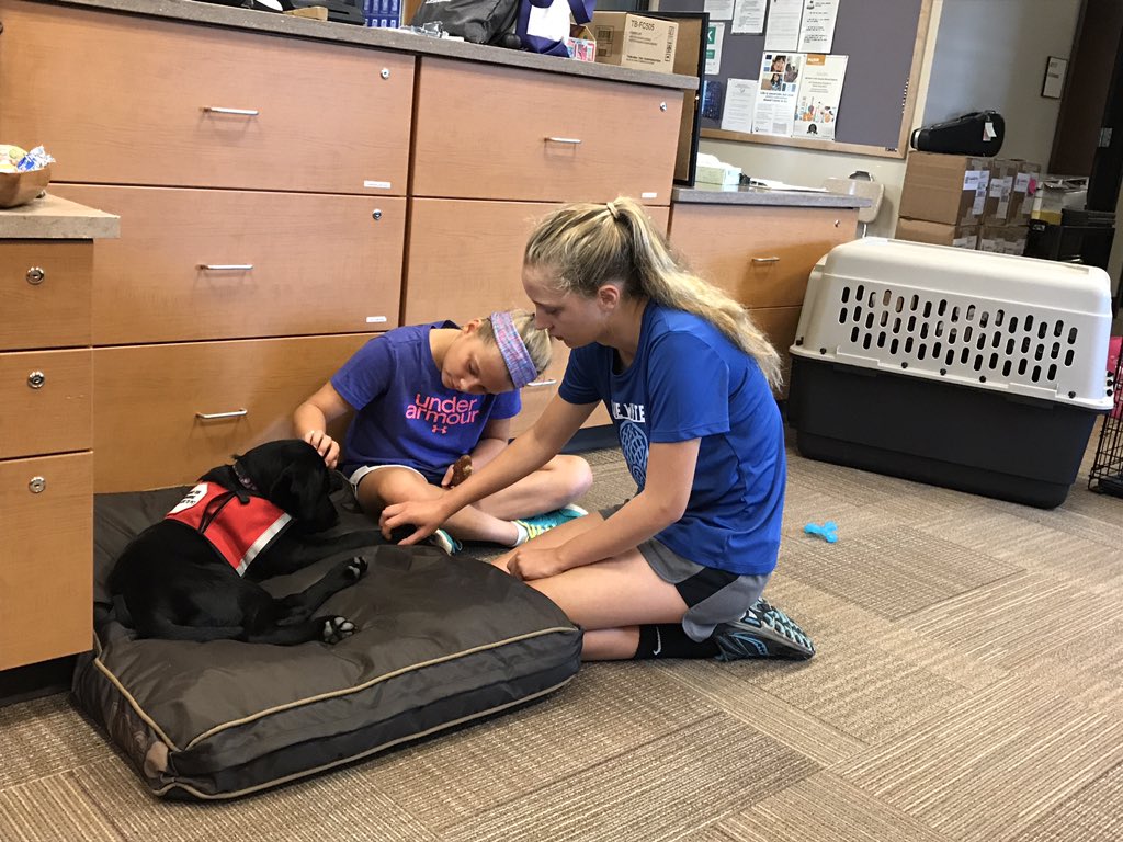 DESPolarBears's tweet photo. Rory is not lacking attention. We love summer visitors! #nycsd https://t.co/fmH0p7WuTi