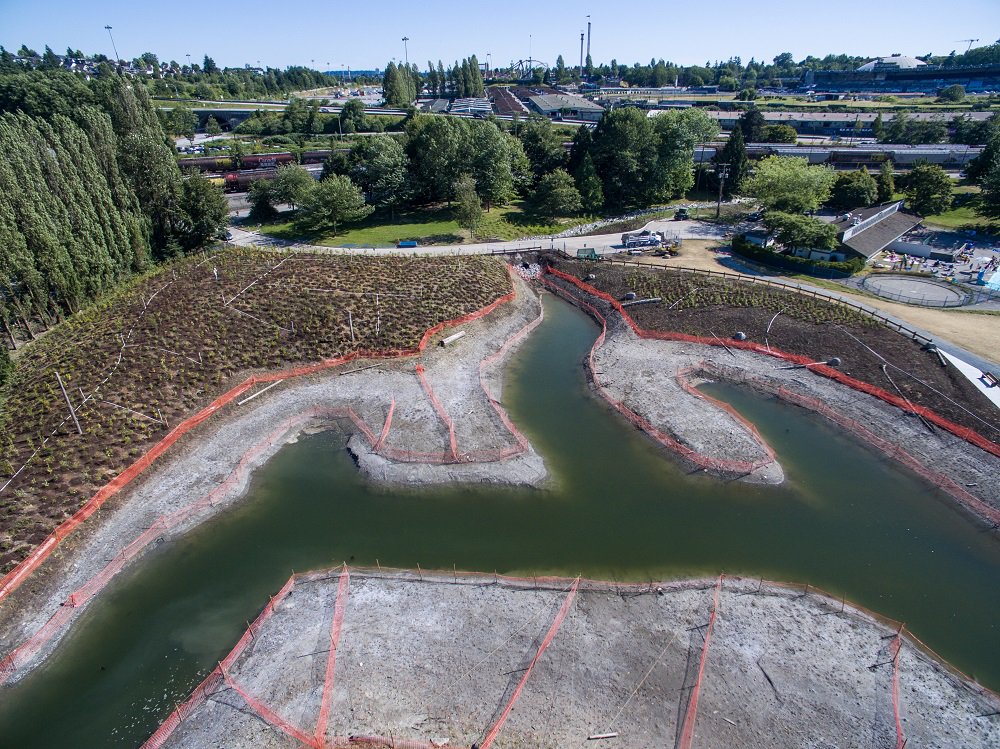 PortVancouver's tweet photo. Our work with @ParkBoard to restore #NewBrightonPark habitat is now complete! Info on the restored tidal wetland: https://t.co/mE8TtPT5VY https://t.co/v88iiNALm4