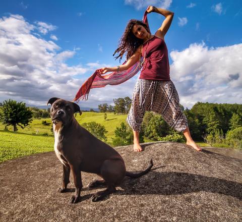 KristenScribes's tweet photo. Want to #travel with your #dog this summer? Check out a blog post I wrote for https://t.co/kulsJCZZ2N! https://t.co/Jl0eY5NVLd https://t.co/TiYAYXhzhQ