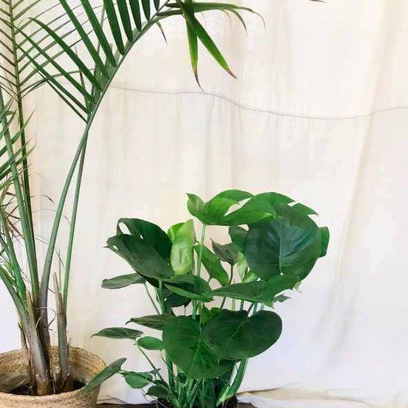 KeepItLocalOK Tulsa tweet media