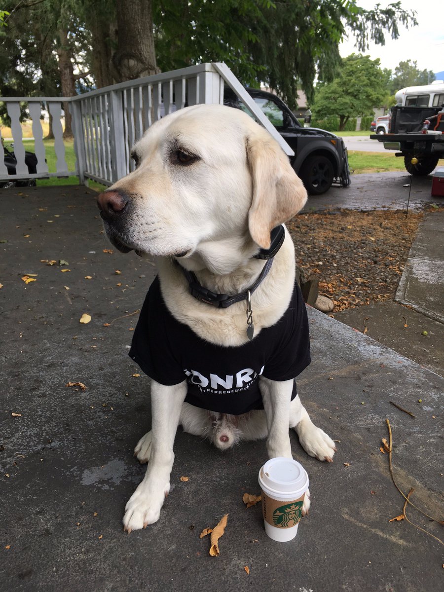 Provi_vids's tweet photo. Is your dog really a good boy if he doesn't drink @Starbucks coffee or wear @conraduwaterloo gear? #starbucks #uwaterloo #dogsoftwitter https://t.co/GV6Xy7bW8b