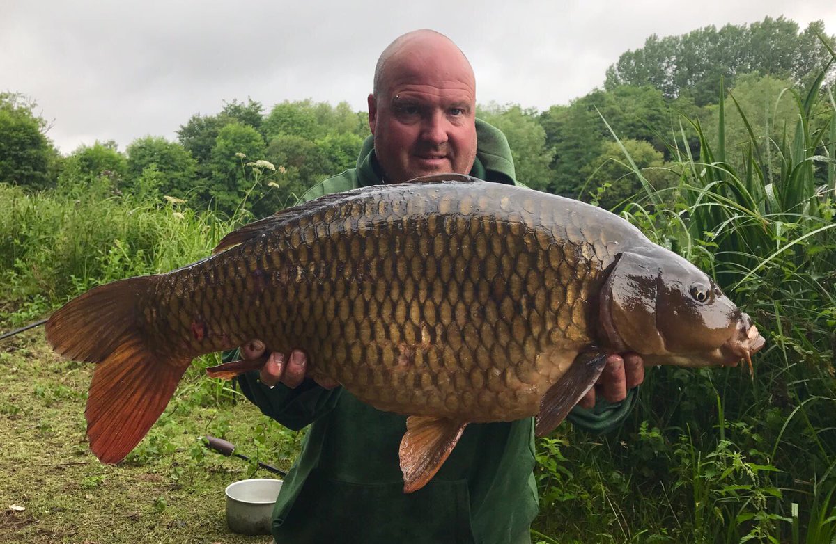 UltimaCarp's tweet photo. @jim_shelley The Machine with a 28.8 stunner. @UltimaCarp Anvil #leadcore #Powercarp #line https://t.co/lTEpjPSNc0
@First4Fishing #amazon https://t.co/Ktte7x0HUA