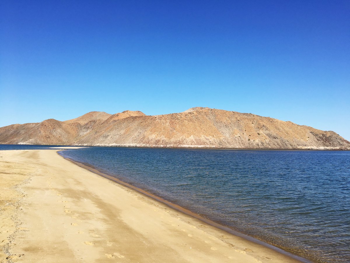 Longing... #gonzaga #bay #BajaCalifornia #baja #desert #cortez #travelphotography @DescubreBC <a href="/GobiernoBC/">Gobierno de Baja California</a> <a href="/BajaCATours/">Baja Adventure Tours</a> #naturephotography