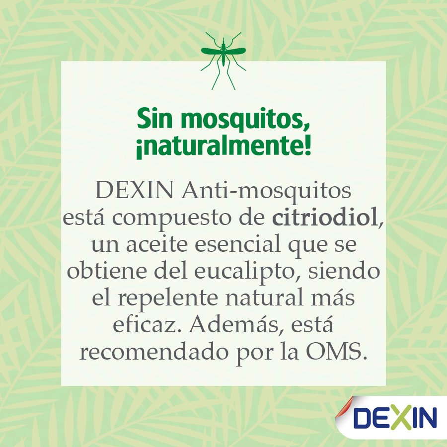 ¿Conoces el citriodiol? Natural y recomendando por la OMS, gracias a él un verano sin mosquitos es posible!