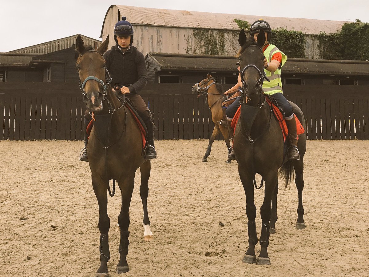 Harry05Derham's tweet photo. Half brothers Frodon (left) and Sao having their first day back riding today. Hopefully big seasons for both coming up. #siblingrivals https://t.co/lTGu49XnRX