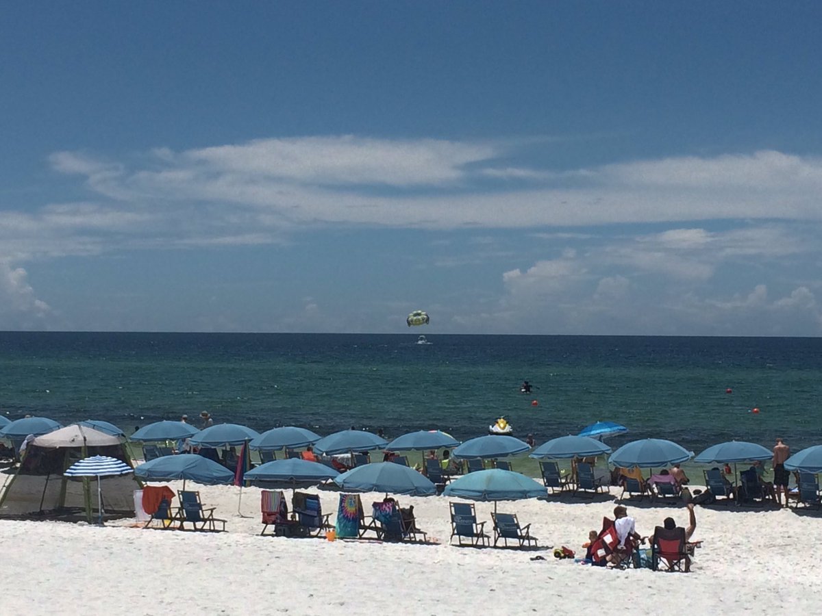 The Island FL tweet media