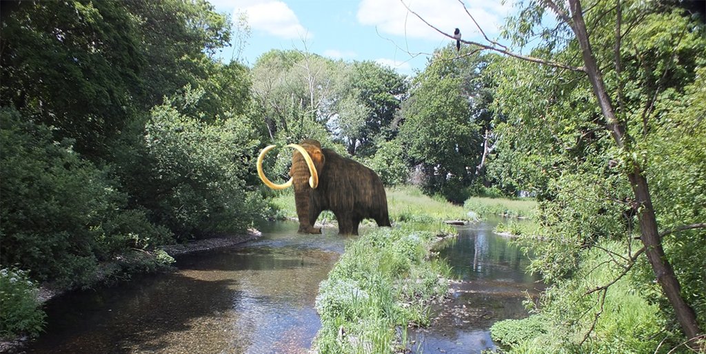 Wandle_Trust's tweet photo. Four days left to see the Discover the Source of the #Wandle exhibition at #Sutton Library - don't miss out, there are mammoths involved! https://t.co/Vi9oiM7sKZ