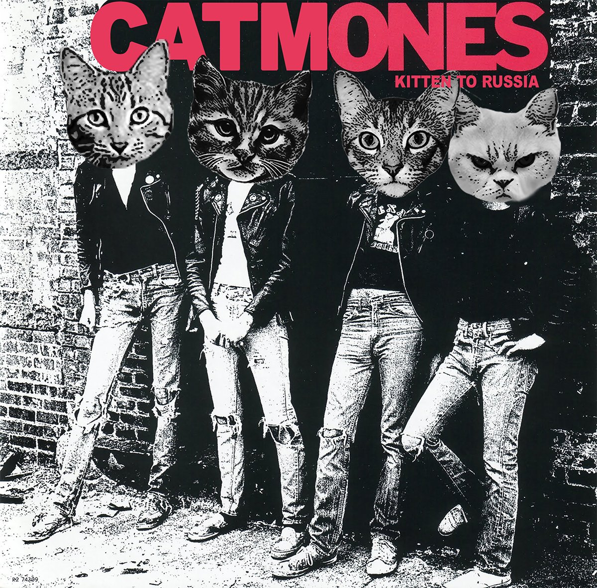RiotFest's tweet image. Contest time! Use your best photoshop skills to #CatifyAPunkAlbum and you could win Riot Fest tickets. ow.ly/qE6P30dL6NJ