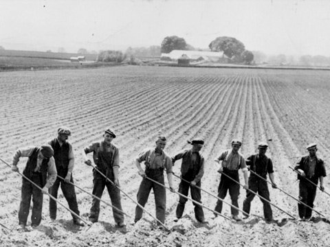 carolJhedges's tweet photo. Life in Tory Britain post #Brexit #sweatedlabour https://t.co/KewlpLgtzF