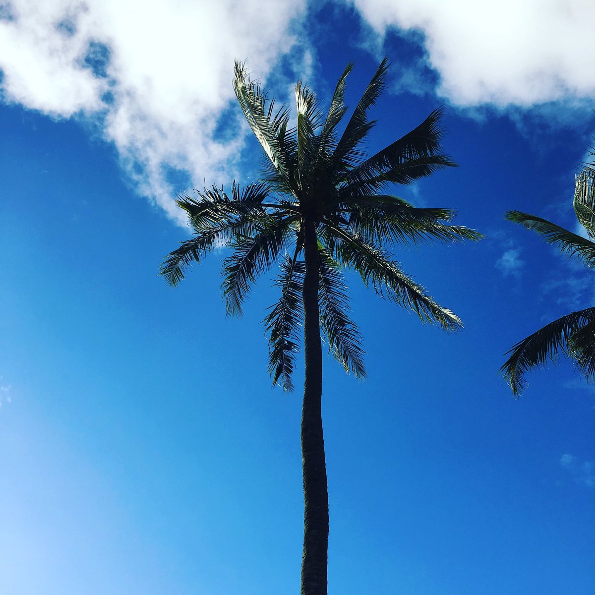 JessMasterKey's tweet image. Discover the Immense Power of OPM 🌟 Get Your Free Pass Today  Summit affiliate link

paykstrt.com/2939/10125
 #RecruitandDuplicate