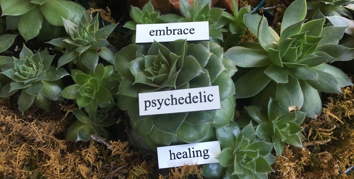 Visionary Magnets tweet media