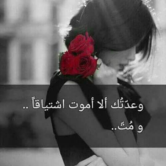 ghadali_111's tweet photo. #NewProfilePic https://t.co/7mHYURe8Xm