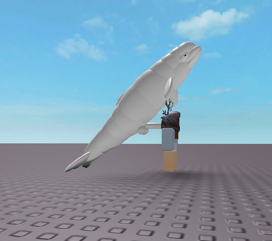 Beluga Roblox R34 At Belugaanaro Twitter - roblox r34