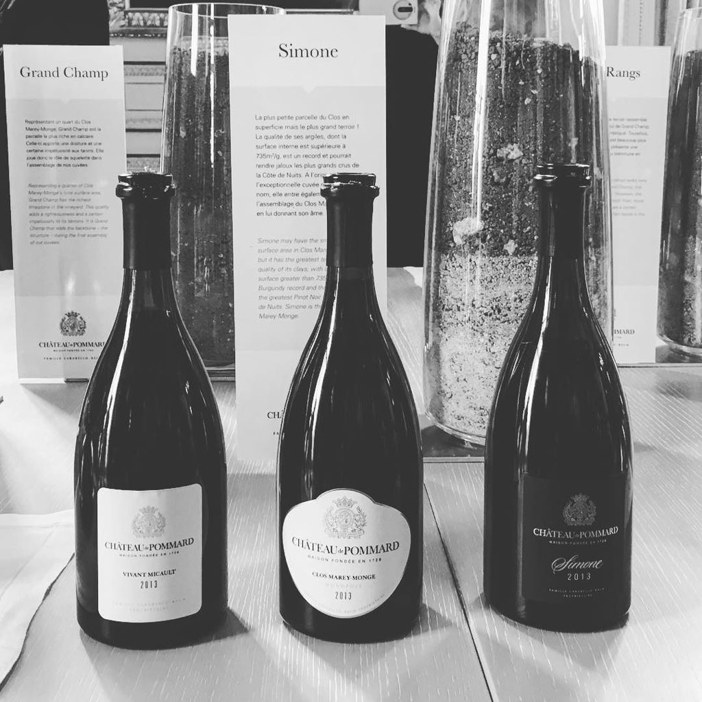 tom2185's tweet photo. Promenade autour des vins du @chateaudepommard @ChteaudePommard au @rwcrillon #burgundywine https://t.co/UfVh6WQEBI