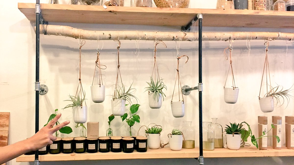 WildFlora tweet media