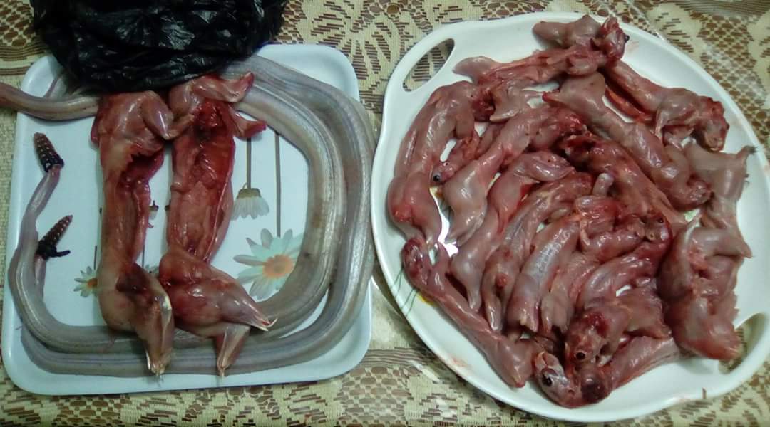 Andreelrenegado's tweet photo. En #Fresnillo #Zacatecas se prepara una linda reunion de roñosos donde el platillo será #CaldoDeRata iiuuuc https://t.co/C1UvX0htM1
