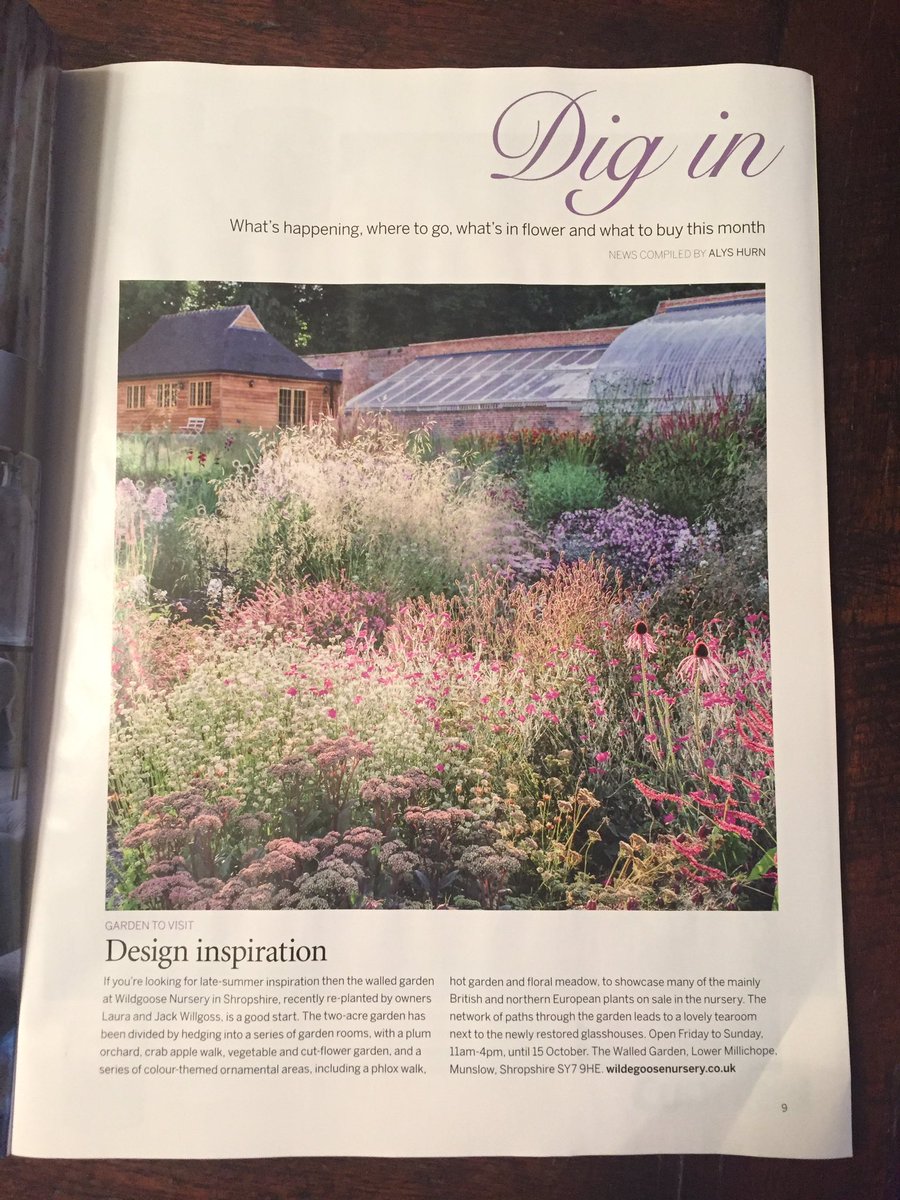 theblackbough's tweet photo. Great bit of press in the new edition of @GdnsIllustrated for our friends @wgviolas https://t.co/W2YoGBIUsc